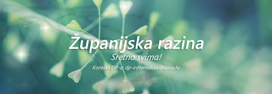 Natjecanje iz informatike 2019